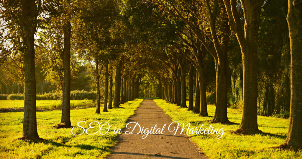 Best guide for SEO in Digital Marketing seo in digital marketing