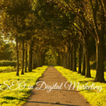 seo in digital marketing